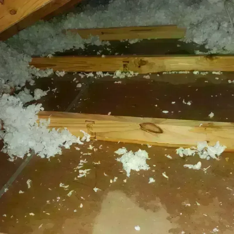 Attic Water Damage in Riverbend, WA